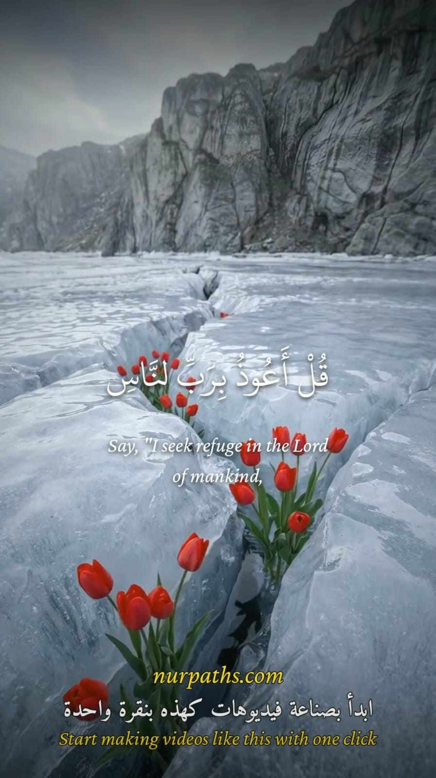 ريلز قرآني جاهز للنشر