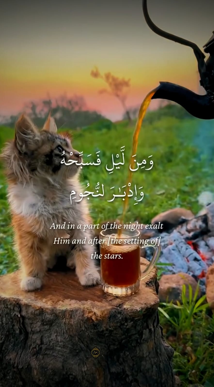 فيديو قرآني قصير جاهز للنشر