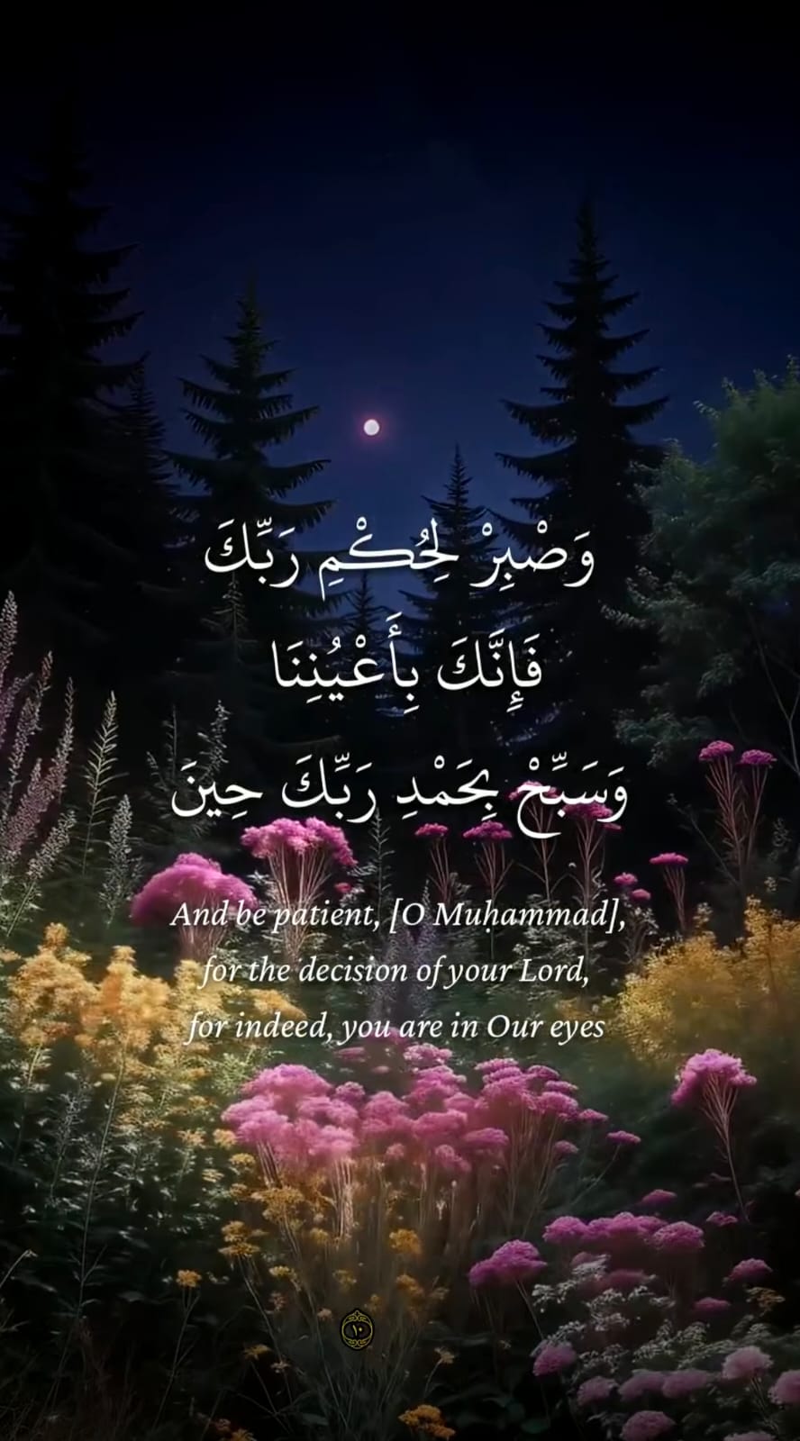 مقطع قرآني للانستغرام